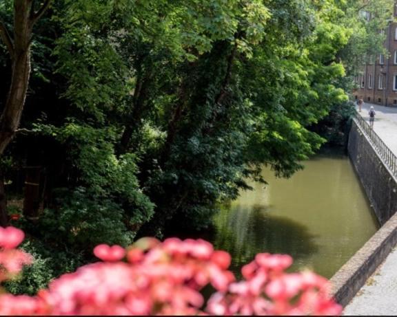 Hotel Entree - Canal View Brugge Bagian luar foto